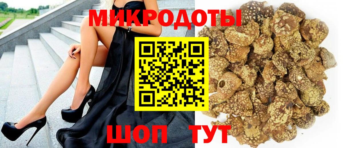 Обь  Галлюциногенные грибы Cubensis  Вход с VPN 